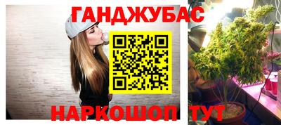 прущие крисы Гай