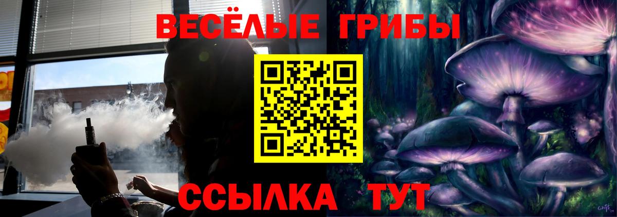 Муравленко  Галлюциногенные грибы Psilocybine cubensis  Вход с VPN 